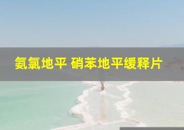 氨氯地平 硝苯地平缓释片